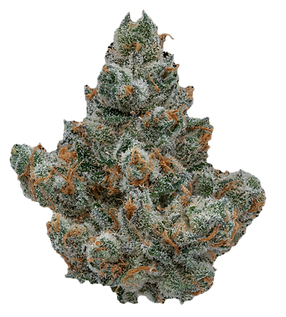 heavenpeak.com | Coffin Candy (INDICA)7b4e70_ba5b6dd05119454abbc181c38f12b8c0~mv2 (1) Coffin Candy (INDICA) - Image 4