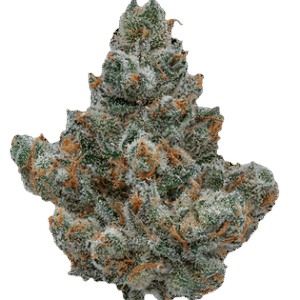 heavenpeak.com | Mix & Match Cannabis Sampler Bundle (Build your own)7b4e70_ba5b6dd05119454abbc181c38f12b8c0~mv2
