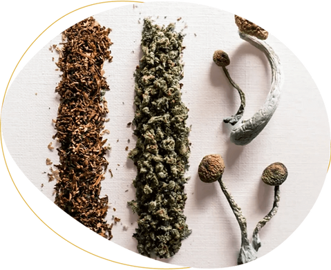 heavenpeak.com|Weed Delivery CalgaryThe-Impact-of-Mixing-Cannabis-and-Mushrooms