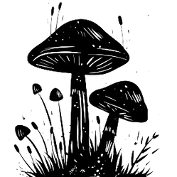heavenpeak.com|Weed Delivery Calgarymushroom-silhouette-silhouette-of-forest-mushrooms-GJwxyu57_t