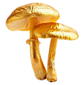 Buy Shrooms Online