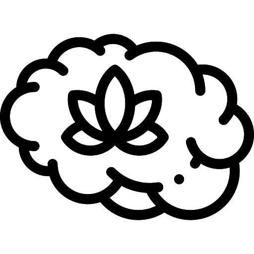 brain