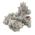 Dragonfruit Dream