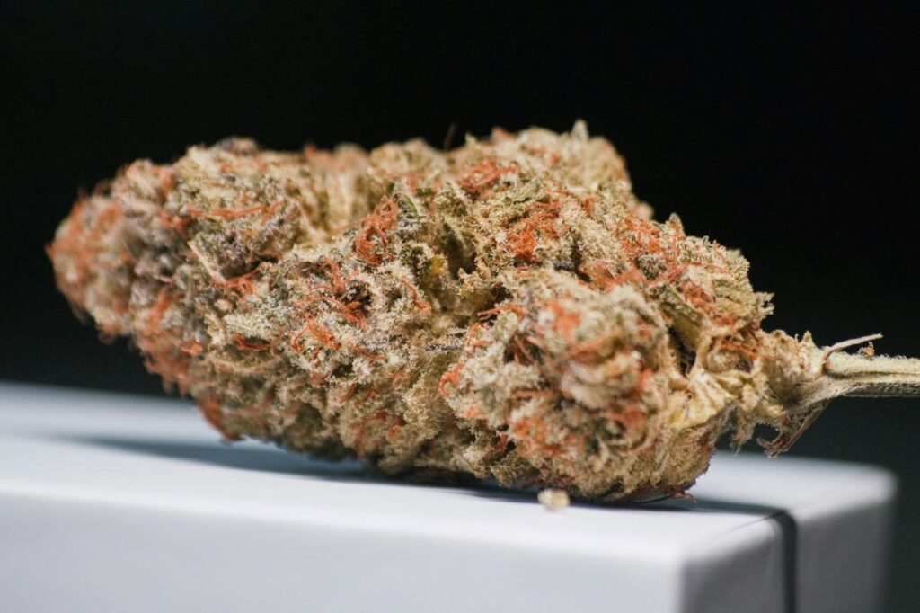 heavenpeak.com | Indica vs Sativa vs Hybrid: Choosing the Right Cannabis Type indica vs sativa differenceindica vs sativa difference indica vs sativa difference