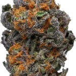 Coconut Crush
