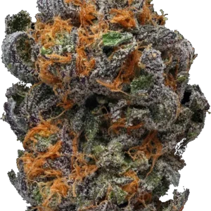 Coconut Crush Strain