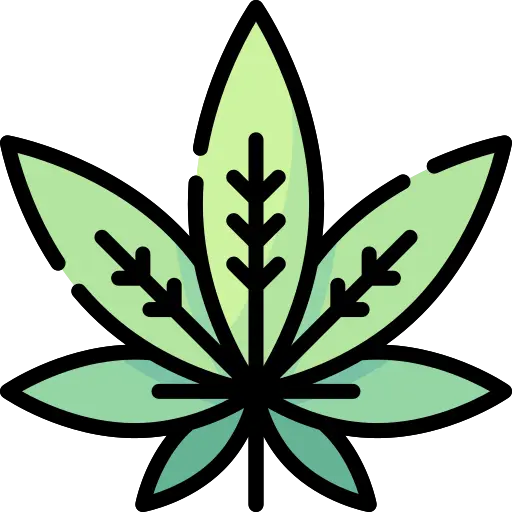 marijuana