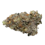 Berry Bliss
