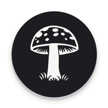 heavenpeak.com|Mushroom Chocolateshrooms chocolate