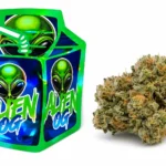 Alien Og