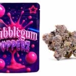 BubbleGum Popperz