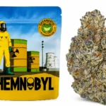 Chernobyl