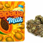 Papaya Milk