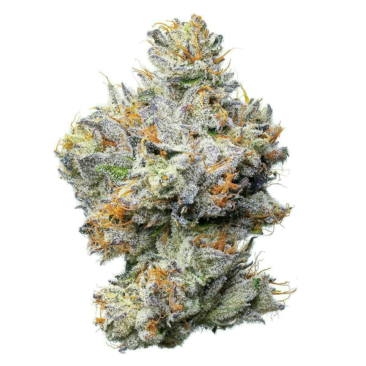 heavenpeak.com | White GushersWhite Gushers White Gushers - Image 2